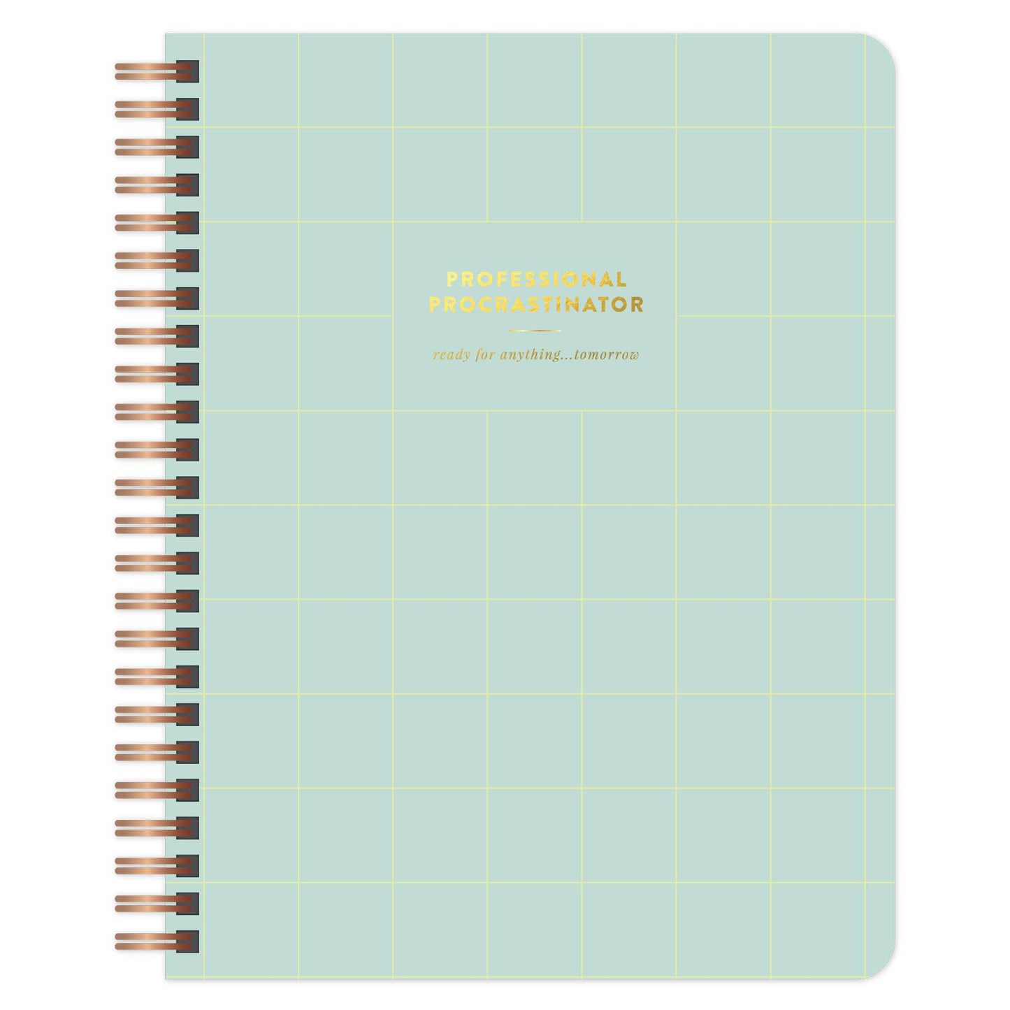 Professional Procrastinator Spiral Notebook