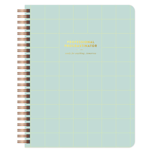 Professional Procrastinator Spiral Notebook